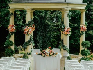 event-organizer