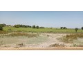 plot-for-sale-small-0