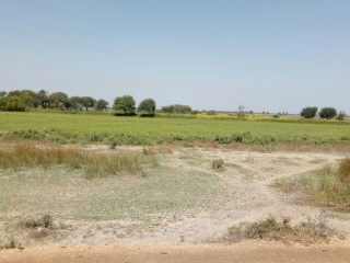 plot-for-sale